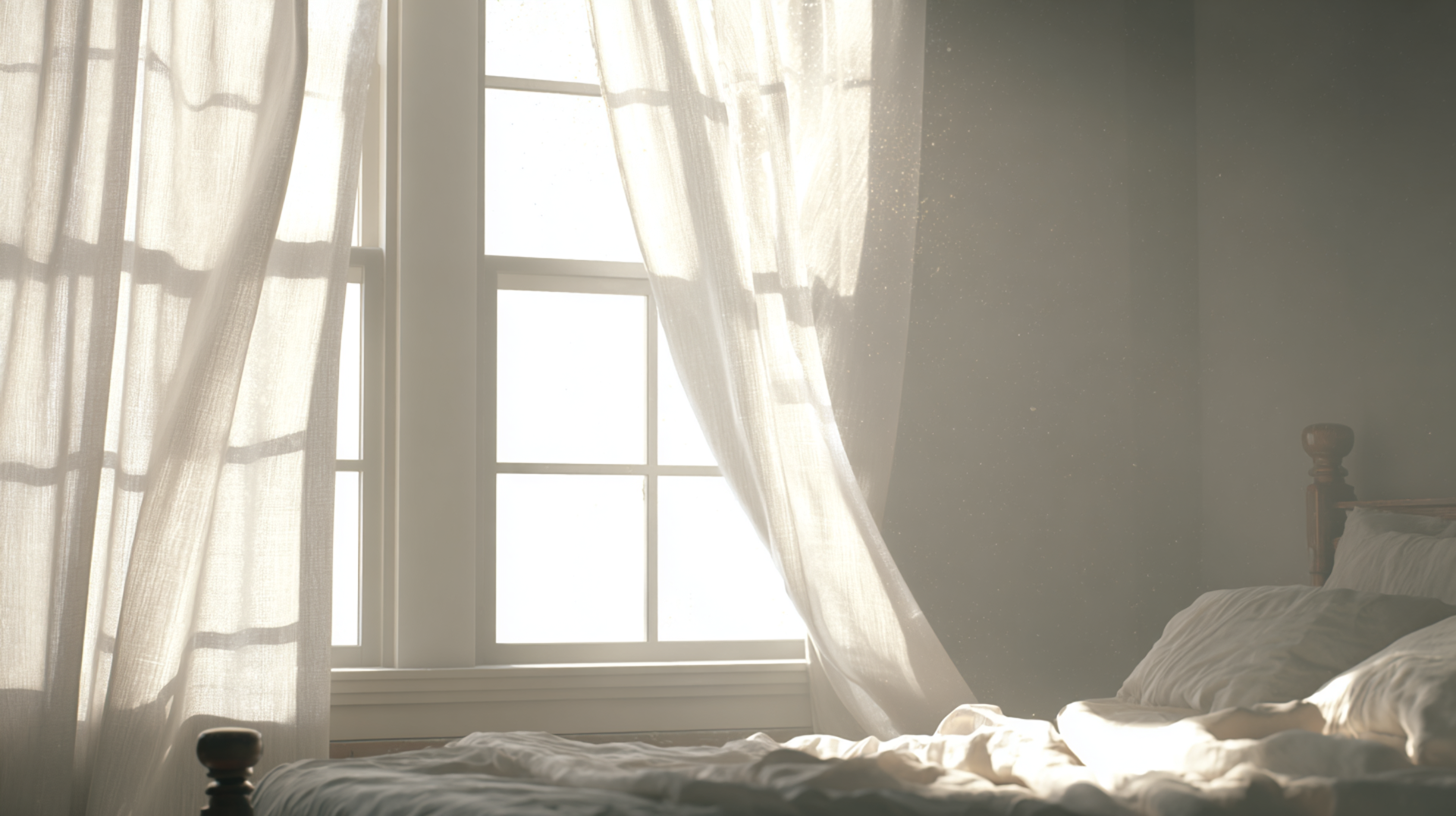 창가의 아침 햇살 (Sunbeam Through the Window)