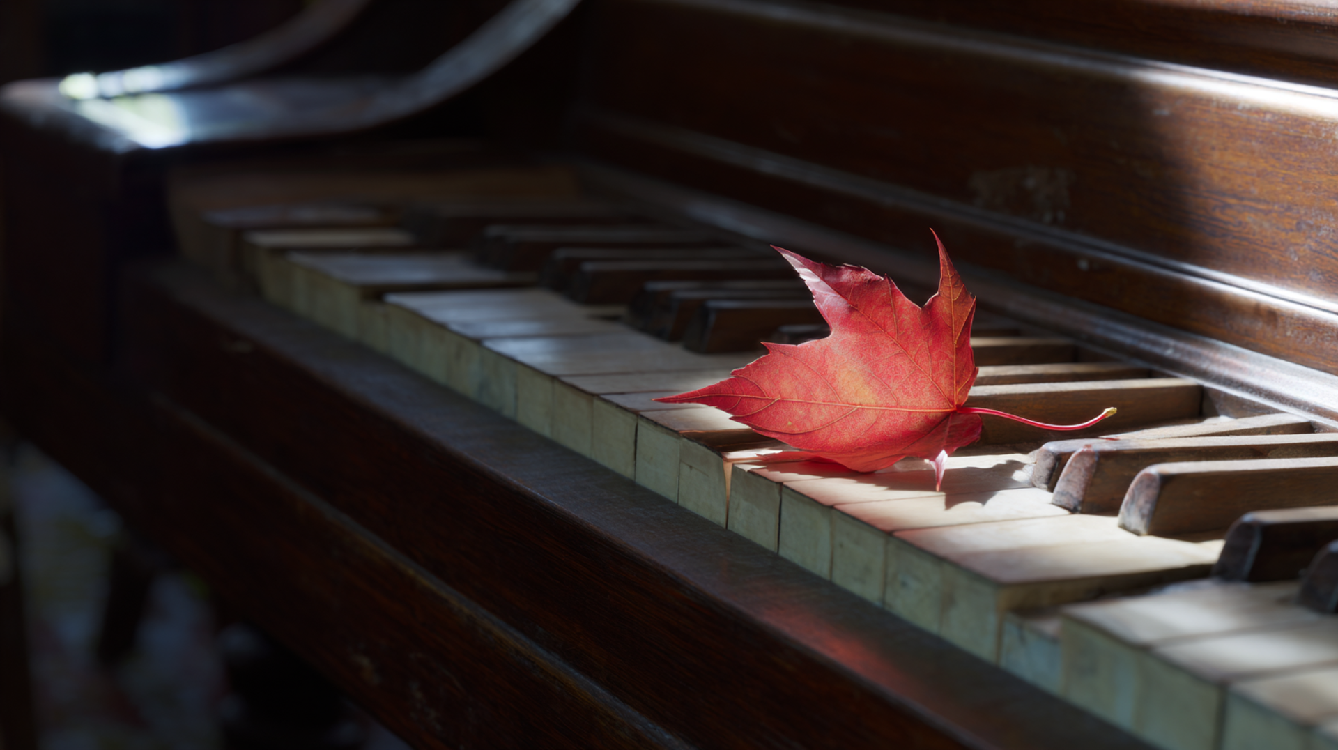 가을의 편지 (A Letter in Autumn)