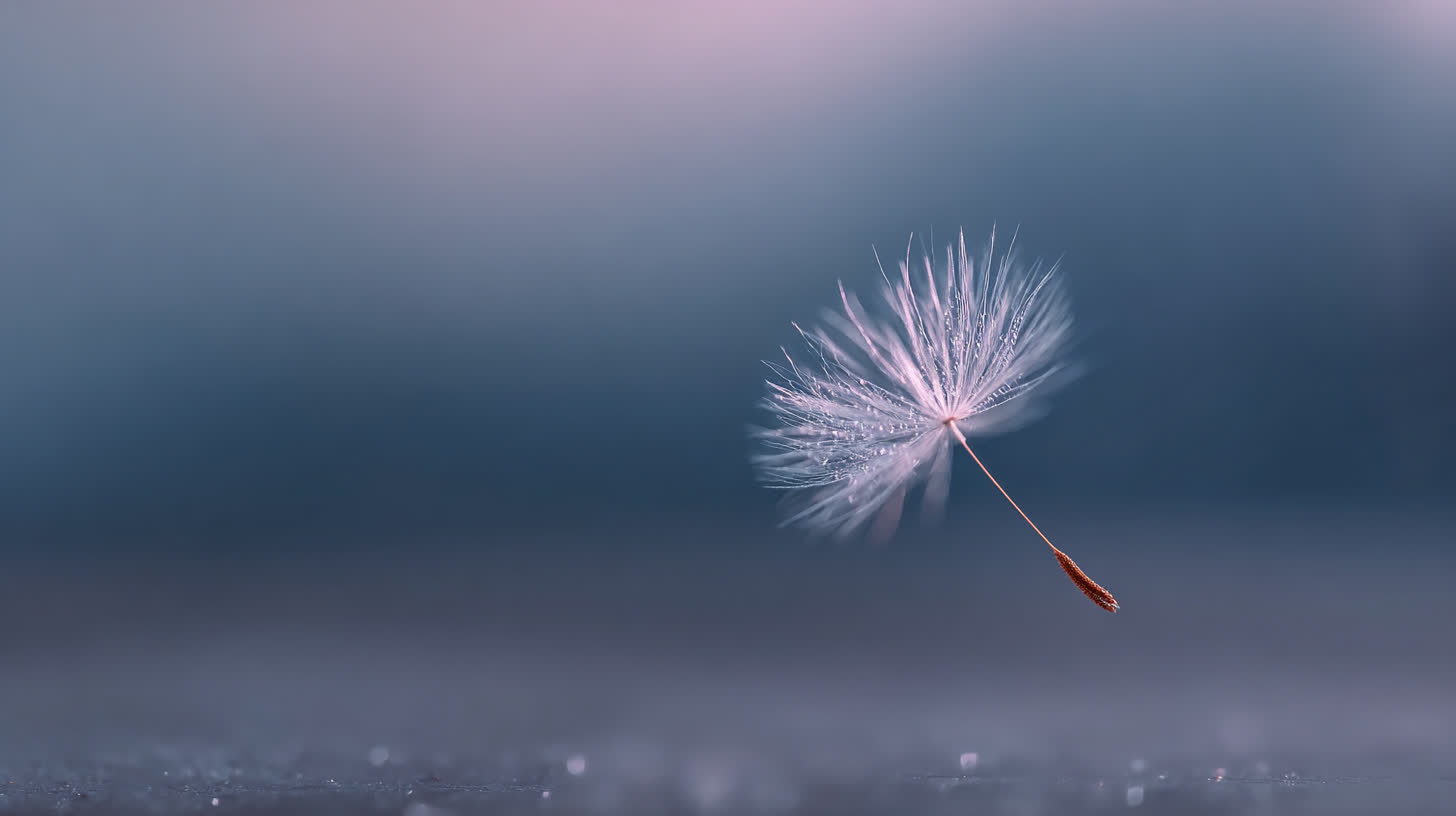 숨(Breath)